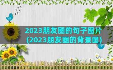 2023朋友圈的句子图片(2023朋友圈的背景图)