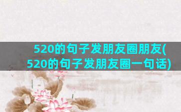 520的句子发朋友圈朋友(520的句子发朋友圈一句话)