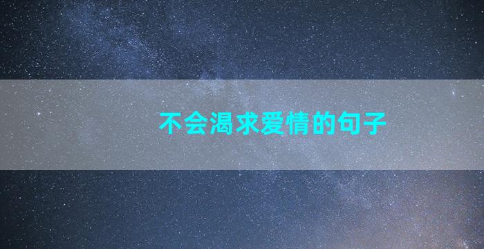 不会渴求爱情的句子