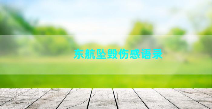 东航坠毁伤感语录