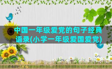 中国一年级爱党的句子经典语录(小学一年级爱国爱党)