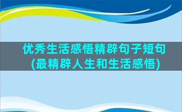 优秀生活感悟精辟句子短句(最精辟人生和生活感悟)