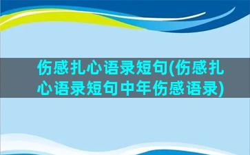 伤感扎心语录短句(伤感扎心语录短句中年伤感语录)