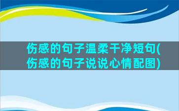 伤感的句子温柔干净短句(伤感的句子说说心情配图)