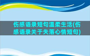 伤感语录短句温柔生活(伤感语录关于失落心情短句)