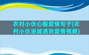 农村小伙心酸爱情句子(农村小伙进城遇到爱情视频)