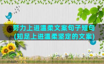 努力上进温柔文案句子短句(知足上进温柔坚定的文案)