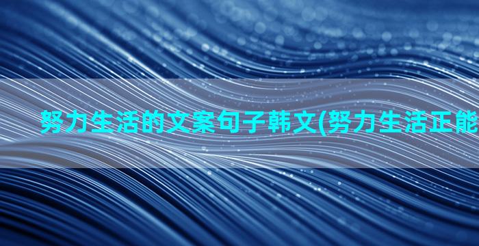 努力生活的文案句子韩文(努力生活正能量的文案)