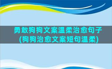 勇敢狗狗文案温柔治愈句子(狗狗治愈文案短句温柔)