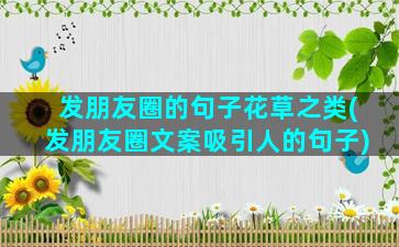 发朋友圈的句子花草之类(发朋友圈文案吸引人的句子)