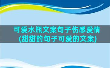 可爱水瓶文案句子伤感爱情(甜甜的句子可爱的文案)