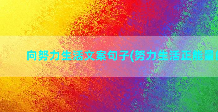 向努力生活文案句子(努力生活正能量的文案)