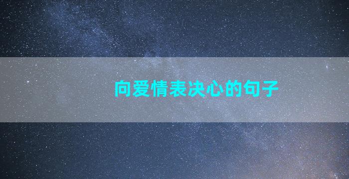 向爱情表决心的句子