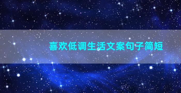 喜欢低调生活文案句子简短