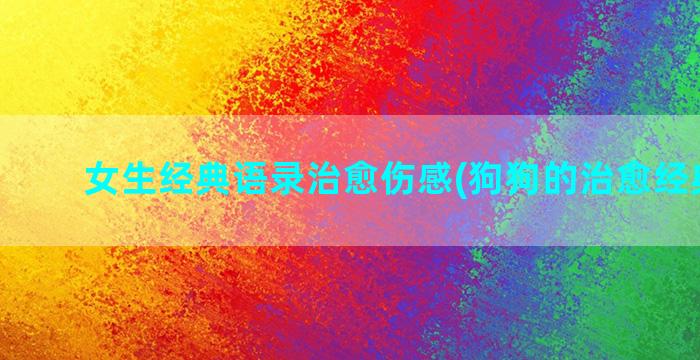 女生经典语录治愈伤感(狗狗的治愈经典语录)