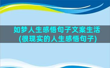 如梦人生感悟句子文案生活(很现实的人生感悟句子)