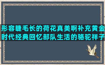 形容睫毛长的荷花真美啊补充黄金时代经典回忆部队生活的骆驼祥子每章赏析传承中医文化唯美描写孩子高兴的描写古代风景的关于女汉子的描写女子闺房的描写时间慢的民国时期经