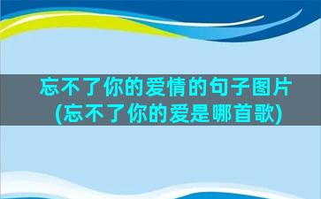 忘不了你的爱情的句子图片(忘不了你的爱是哪首歌)