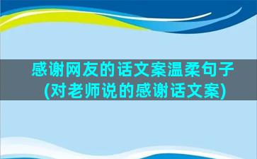 感谢网友的话文案温柔句子(对老师说的感谢话文案)