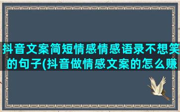 抖音文案简短情感情感语录不想笑的句子(抖音做情感文案的怎么赚钱)