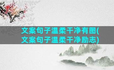 文案句子温柔干净有图(文案句子温柔干净励志)