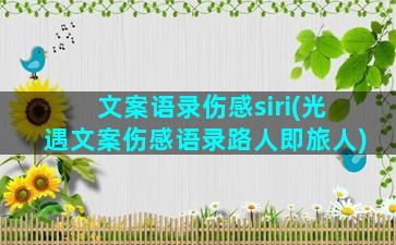 文案语录伤感siri(光遇文案伤感语录路人即旅人)