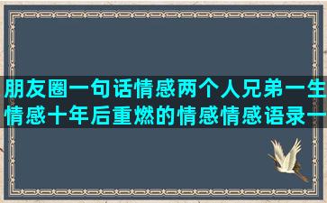 朋友圈一句话情感两个人兄弟一生情感十年后重燃的情感情感语录一句话英文翻译(一句话表达不同的情感)