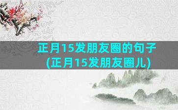 正月15发朋友圈的句子(正月15发朋友圈儿)