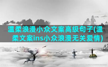 温柔浪漫小众文案高级句子(温柔文案ins小众浪漫无关爱情)