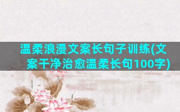 温柔浪漫文案长句子训练(文案干净治愈温柔长句100字)