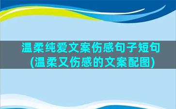 温柔纯爱文案伤感句子短句(温柔又伤感的文案配图)