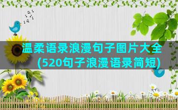 温柔语录浪漫句子图片大全(520句子浪漫语录简短)