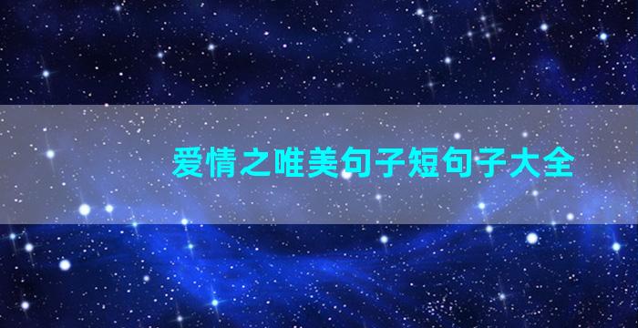 爱情之唯美句子短句子大全