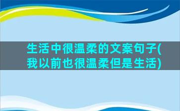 生活中很温柔的文案句子(我以前也很温柔但是生活)