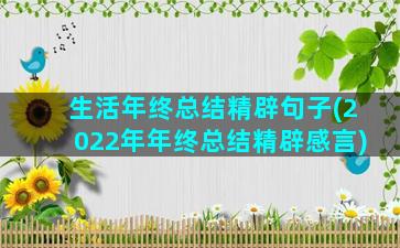 生活年终总结精辟句子(2022年年终总结精辟感言)