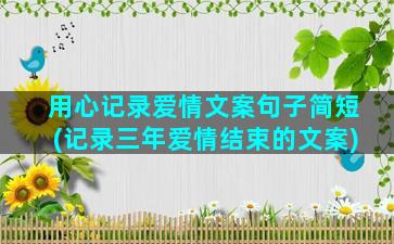 用心记录爱情文案句子简短(记录三年爱情结束的文案)