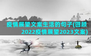 疫情展望文案生活的句子(回顾2022疫情展望2023文案)