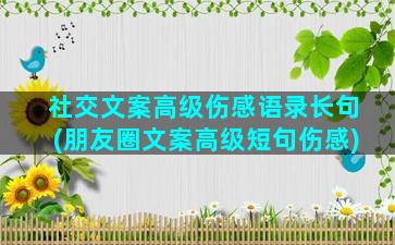 社交文案高级伤感语录长句(朋友圈文案高级短句伤感)