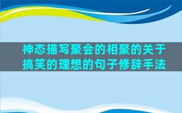 神态描写聚会的相聚的关于搞笑的理想的句子修辞手法