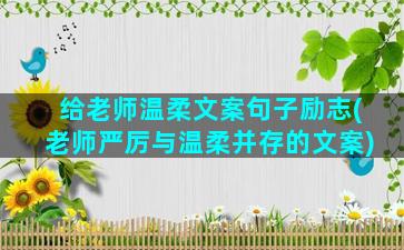 给老师温柔文案句子励志(老师严厉与温柔并存的文案)