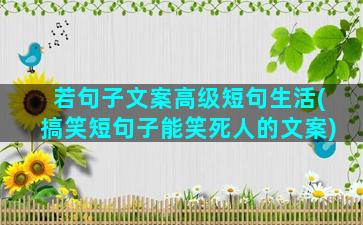 若句子文案高级短句生活(搞笑短句子能笑死人的文案)