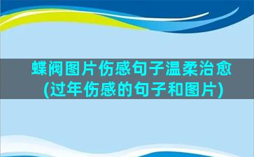 蝶阀图片伤感句子温柔治愈(过年伤感的句子和图片)