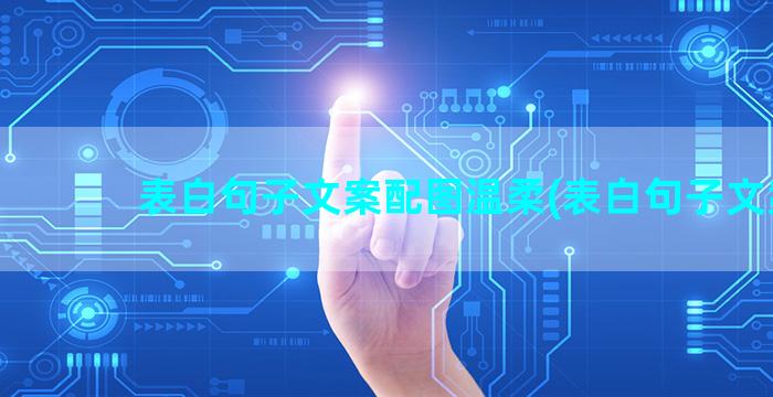 表白句子文案配图温柔(表白句子文案)