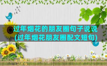 过年烟花的朋友圈句子说说(过年烟花朋友圈配文短句)