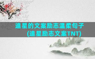 追星的文案励志温柔句子(追星励志文案TNT)