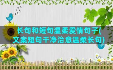 长句和短句温柔爱情句子(文案短句干净治愈温柔长句)